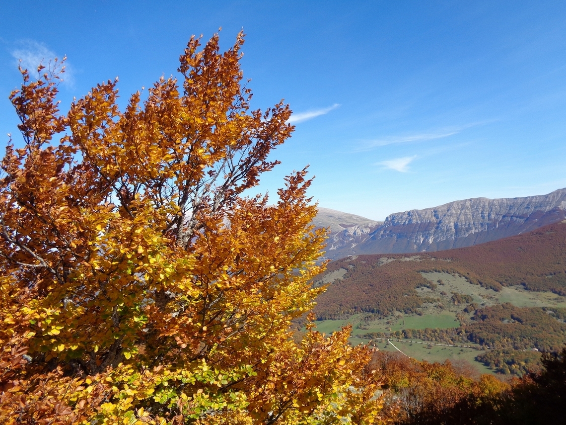 autunno