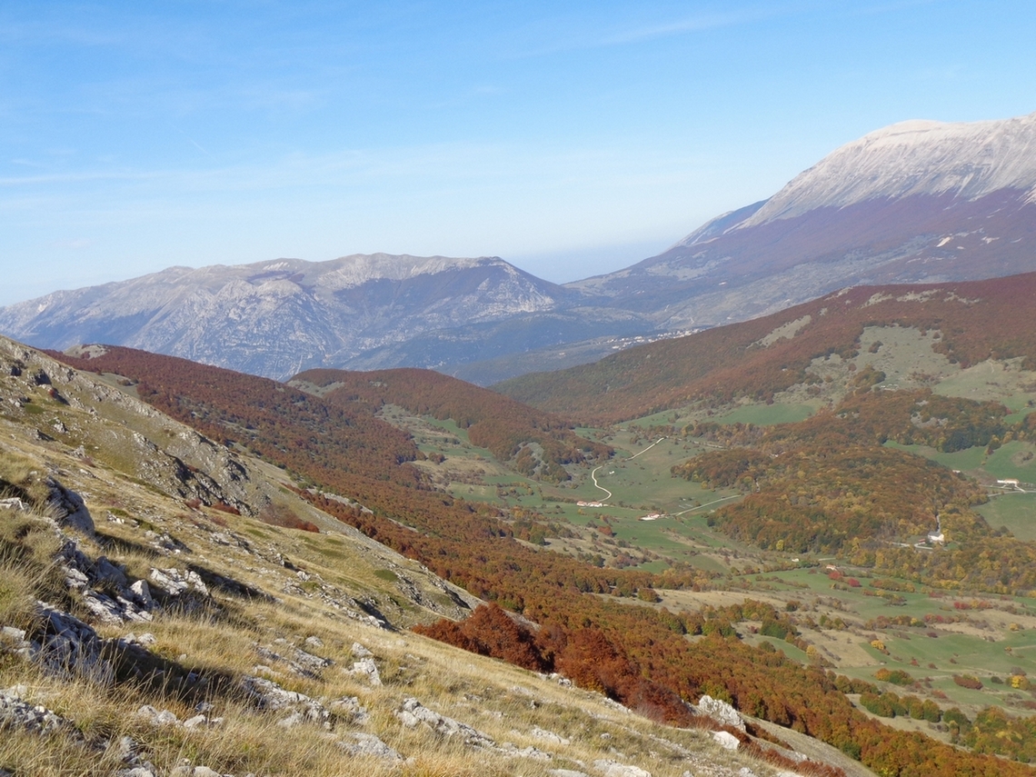 Noi venivamo da li sotto in fondo