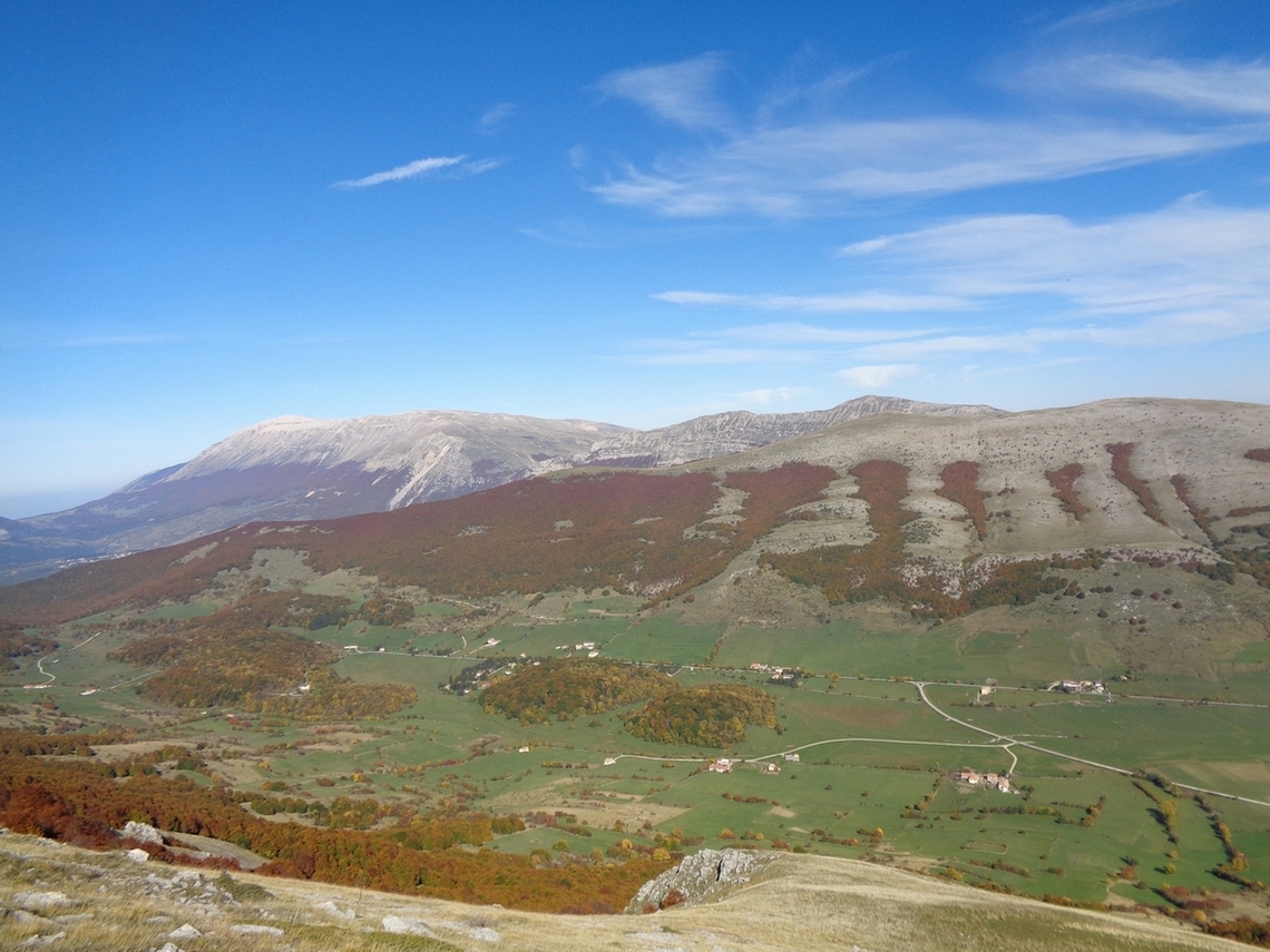 il Pizzalto