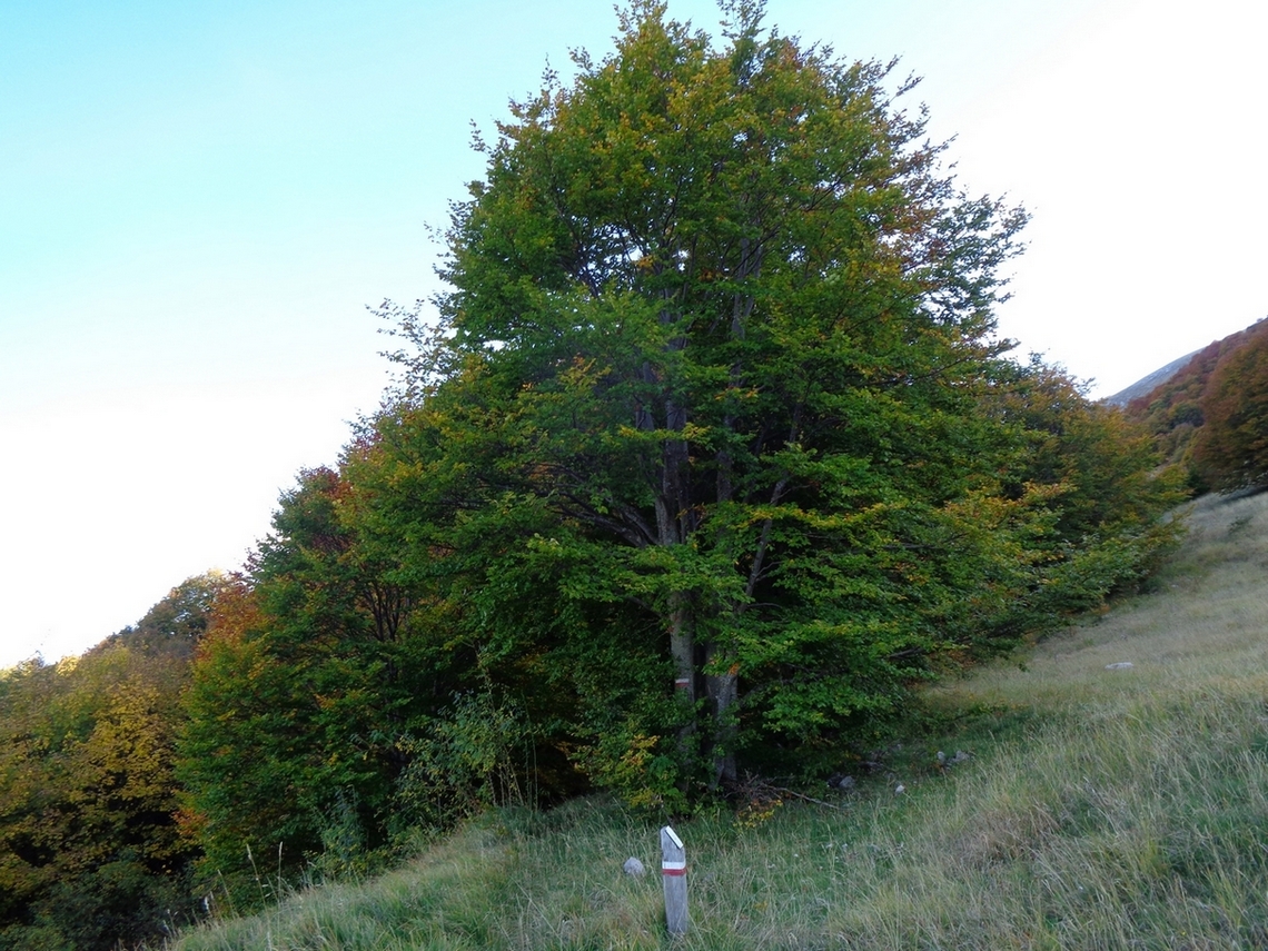 arrivo per il traverso