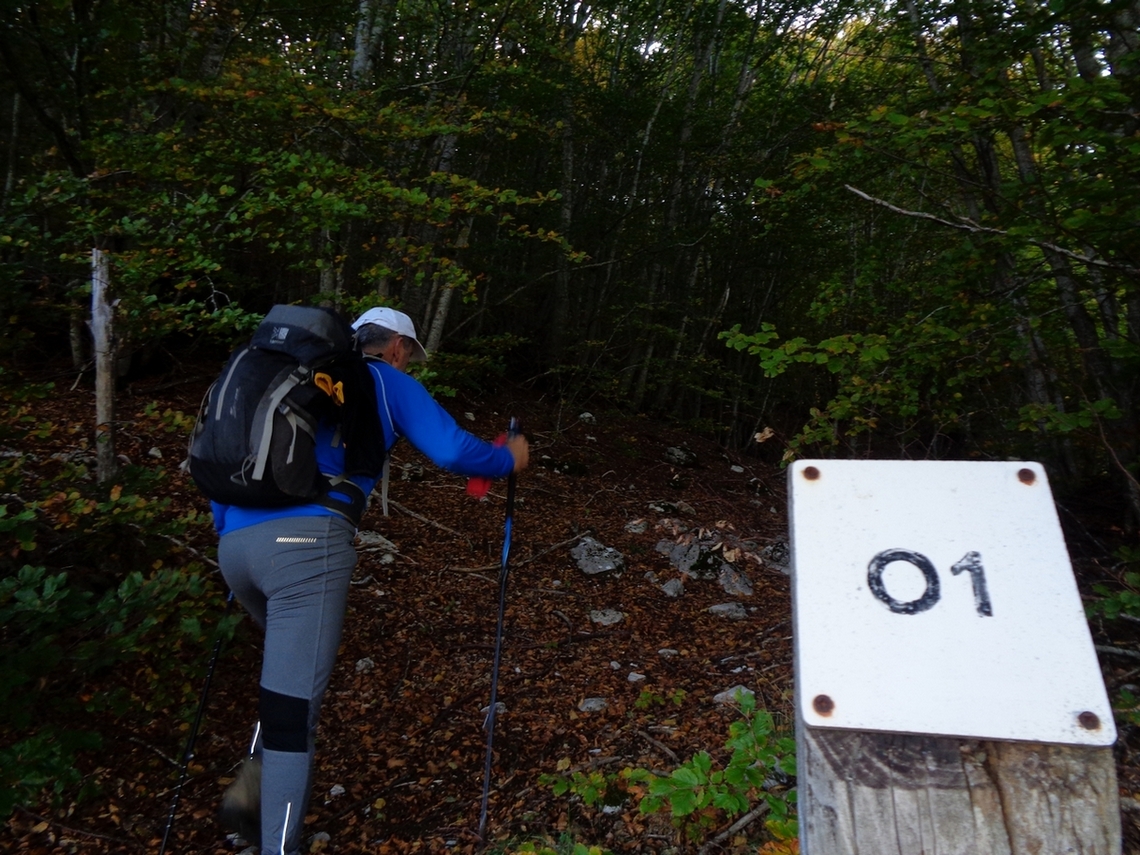 si ritorna dentro al bosco