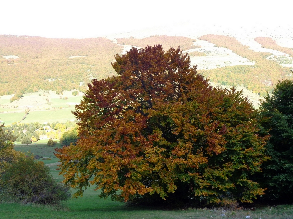autunno