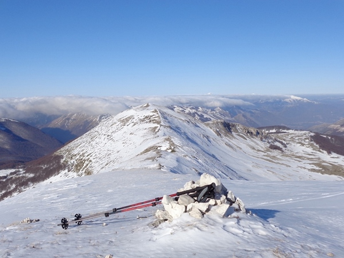 VELINO . SOLITARIA su Cima del Morretano (Alt.2098m)