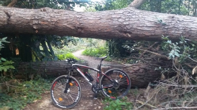 Solitaria di 45 km in MTB per i Parchi di Roma