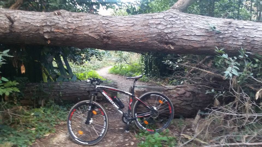 Solitaria di 45 km in MTB per i Parchi di Roma