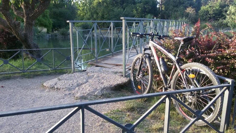 Solitaria MTB a tutta Villa Pamphili