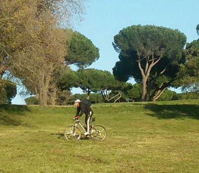 Solitaria di 20 Km in MTB Nel verde della natura