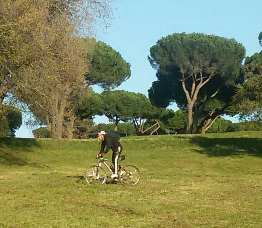 Solitaria di 20 Km in MTB Nel verde della natura