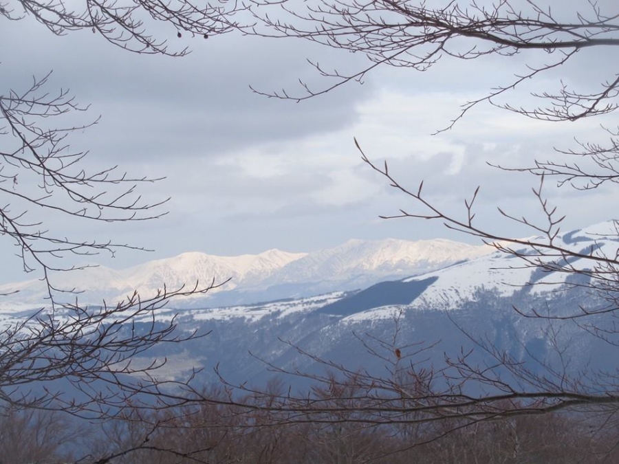Guarda e ammira...